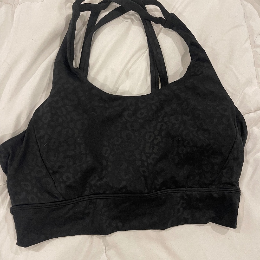 Buffbunny revolution sports bra